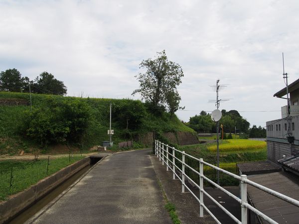 下赤阪の棚田