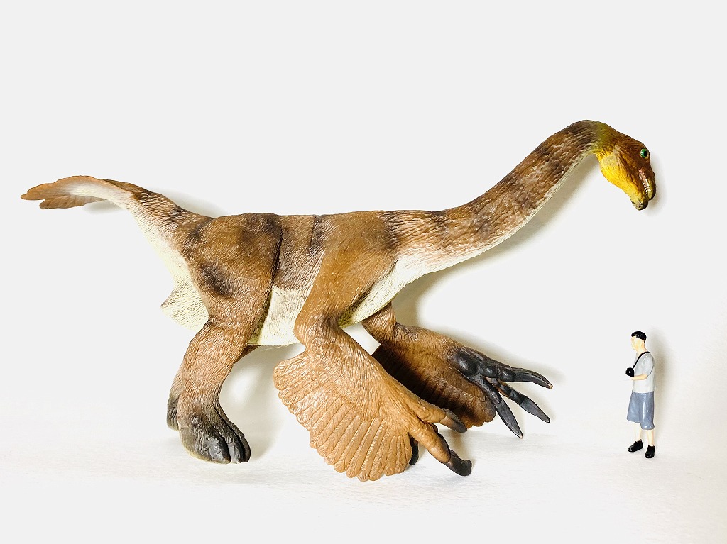 64%OFF!】 サファリ テリジノサウルス 恐竜 フィギュア GDシリーズ 30010 rmladv.com.br