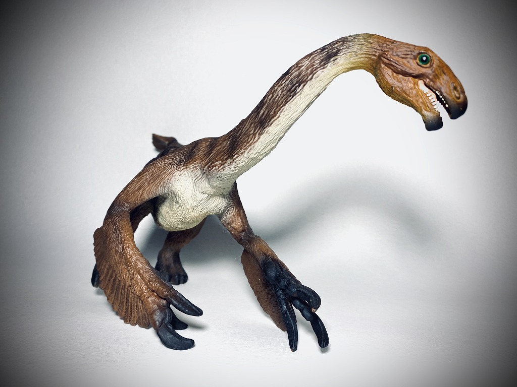 Images Of セグノサウルス Japaneseclass Jp