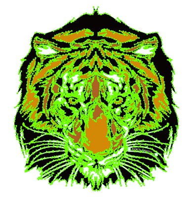 虎(tiger)デザインTシャツ & スエット