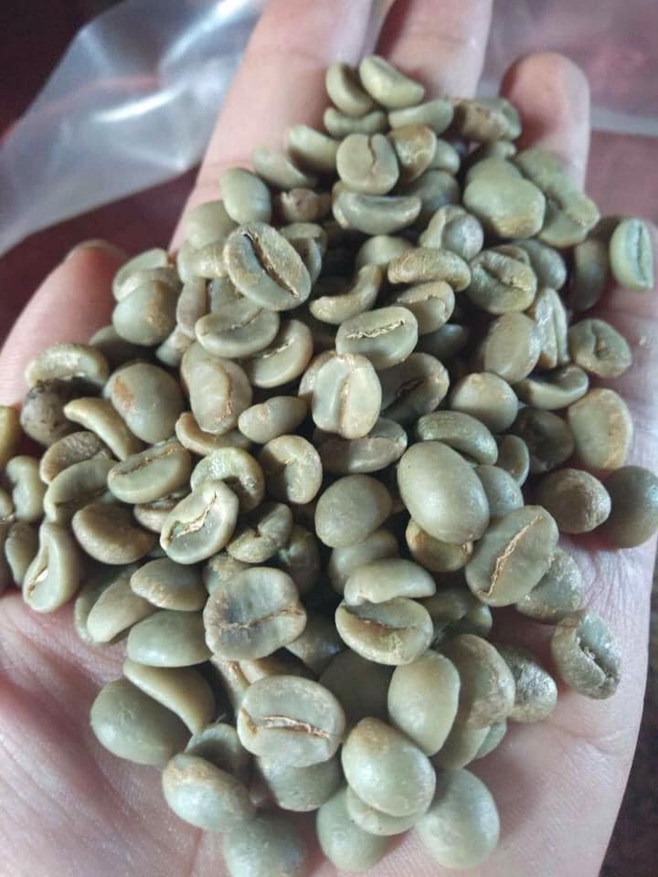 Vietnam green coffee bean supplier, coffee companies in vietnam, manufacturers, exporters, coffee bean supplier in Vietnam