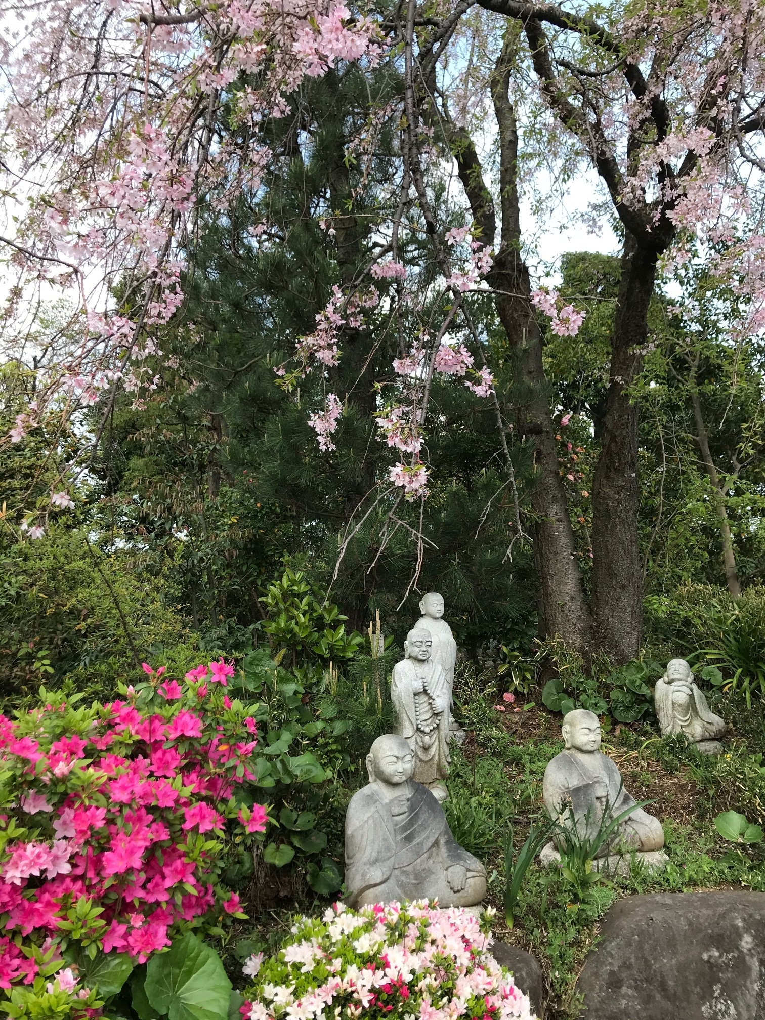 あかるいとうさんのお出掛け 宗泉寺の羅漢庭園の春を巡る