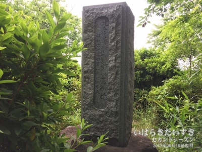 水郷牛堀の碑の後ろ側には、「昭和60年建立」の文字。