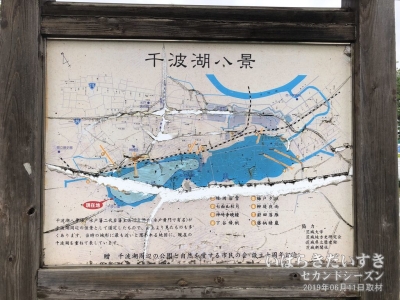 「千波湖八景」の看板