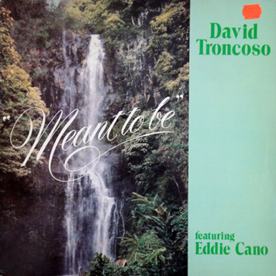 David Troncoso feat. Eddie Cano / Meant To Be