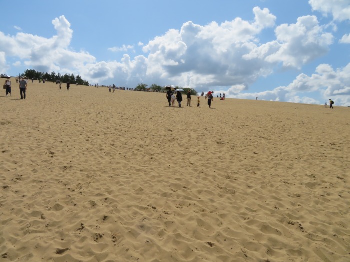 砂丘の起伏