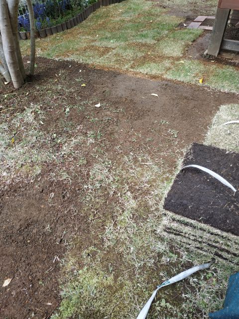芝　土壌改良