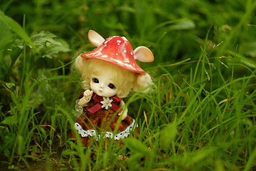 ツバキアキラが撮った、LOONGSOUL・JomeeのJun。真夏の草むらの中で。