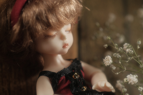 ツバキアキラが撮った、DOLLFACTORY・Baby AriのEmma。ふんわりと優しい、かすみ草と赤いドレス姿のEmma。
