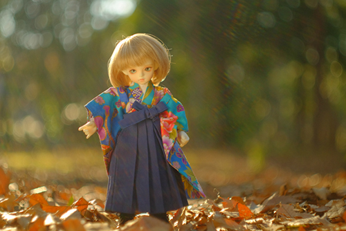 ROSEN LIED、Tuesday's child、通称・火曜子のチェルシー。落ち葉のじゅうたんの上で、晴れ着姿のチェルシー。