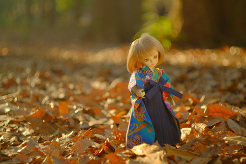 ROSEN LIED、Tuesday's child、通称・火曜子のチェルシー。落ち葉のじゅうたんの上で、晴れ着姿のチェルシー。