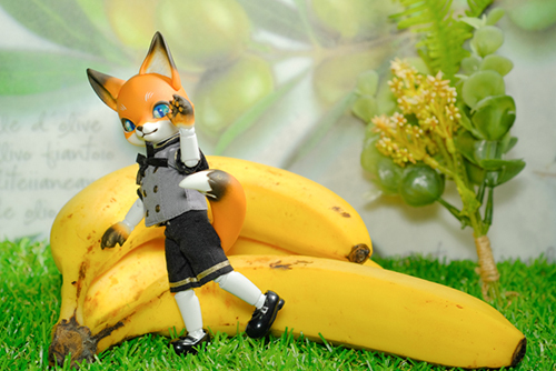 ツバキアキラが撮った、時兎-異夢-さんのKonちゃんが、バナナと戯れています。