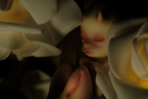 ツバキアキラが撮った、DOLLchateau・William AのRêve。薔薇の仄かな灯りの中で眠る、異形の子。