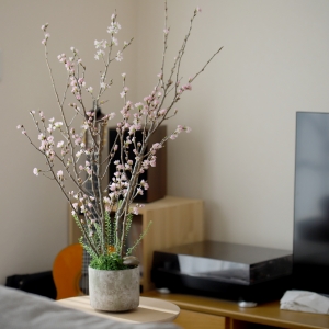 自宅で！桜のお花見キット　