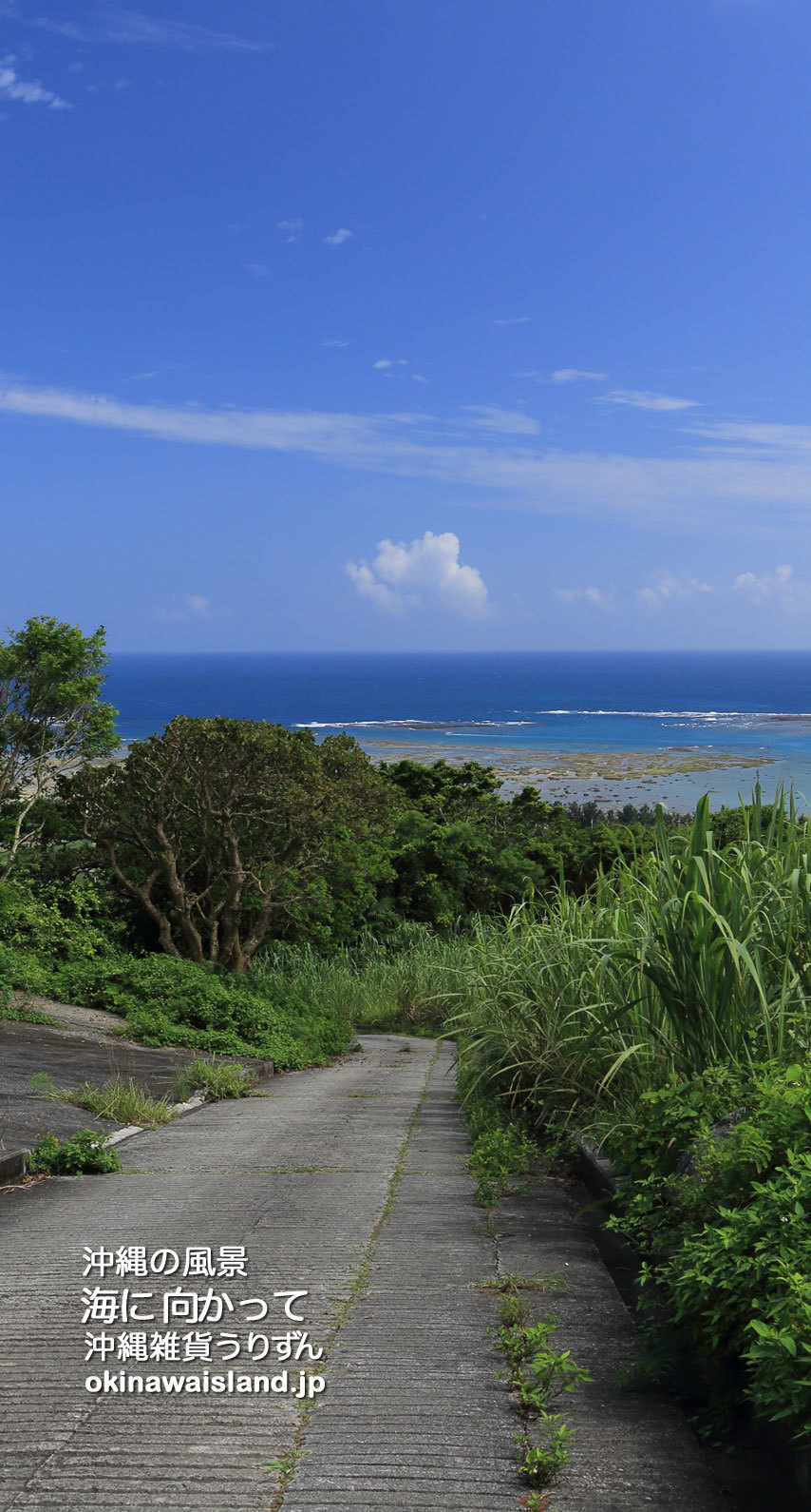 沖縄の風景 壁紙 デスクトップカレンダー 無料ダウンロード 海に向かって スマホ待受