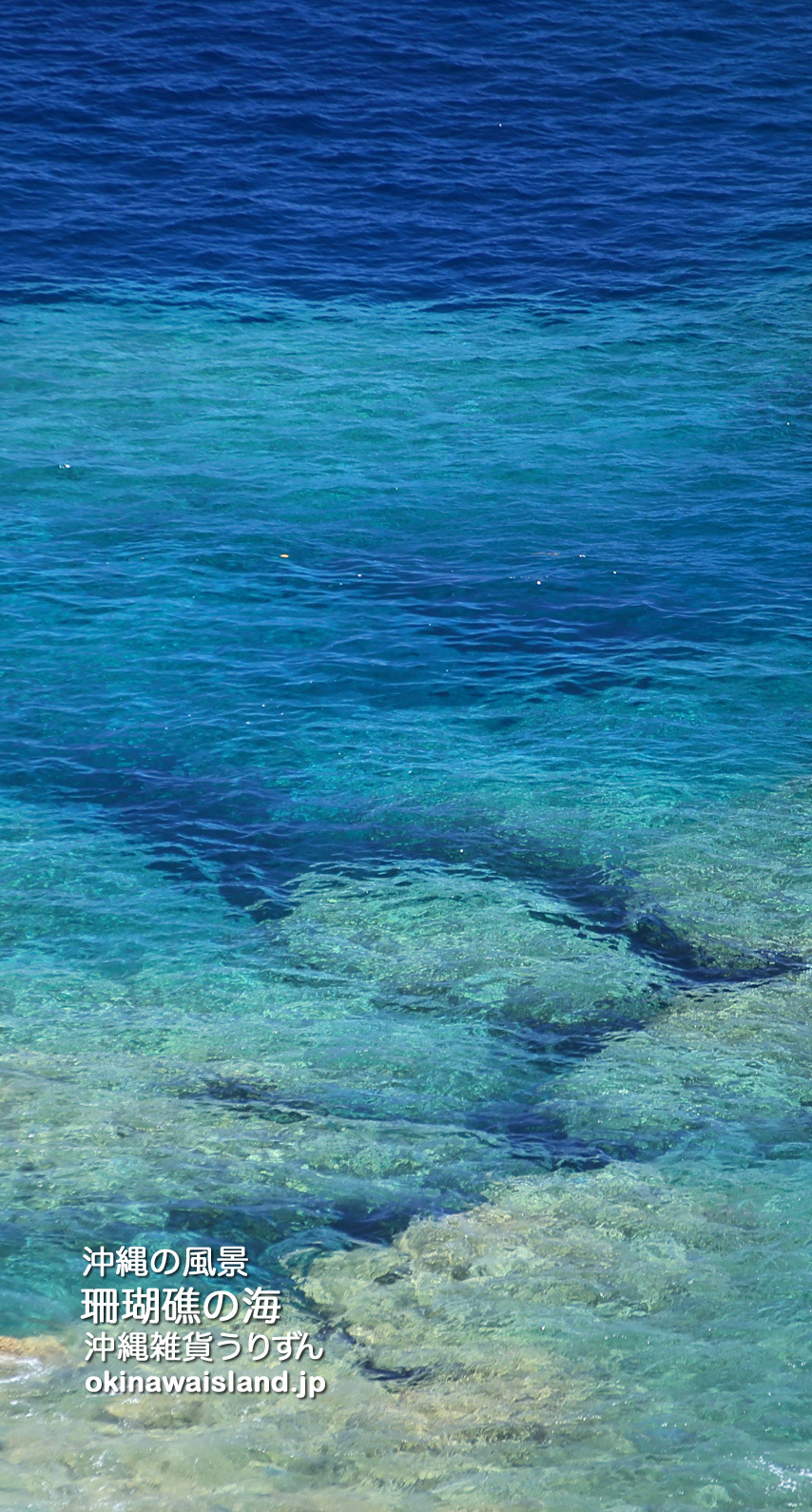 珊瑚礁の海 沖縄の風景 壁紙 デスクトップカレンダー