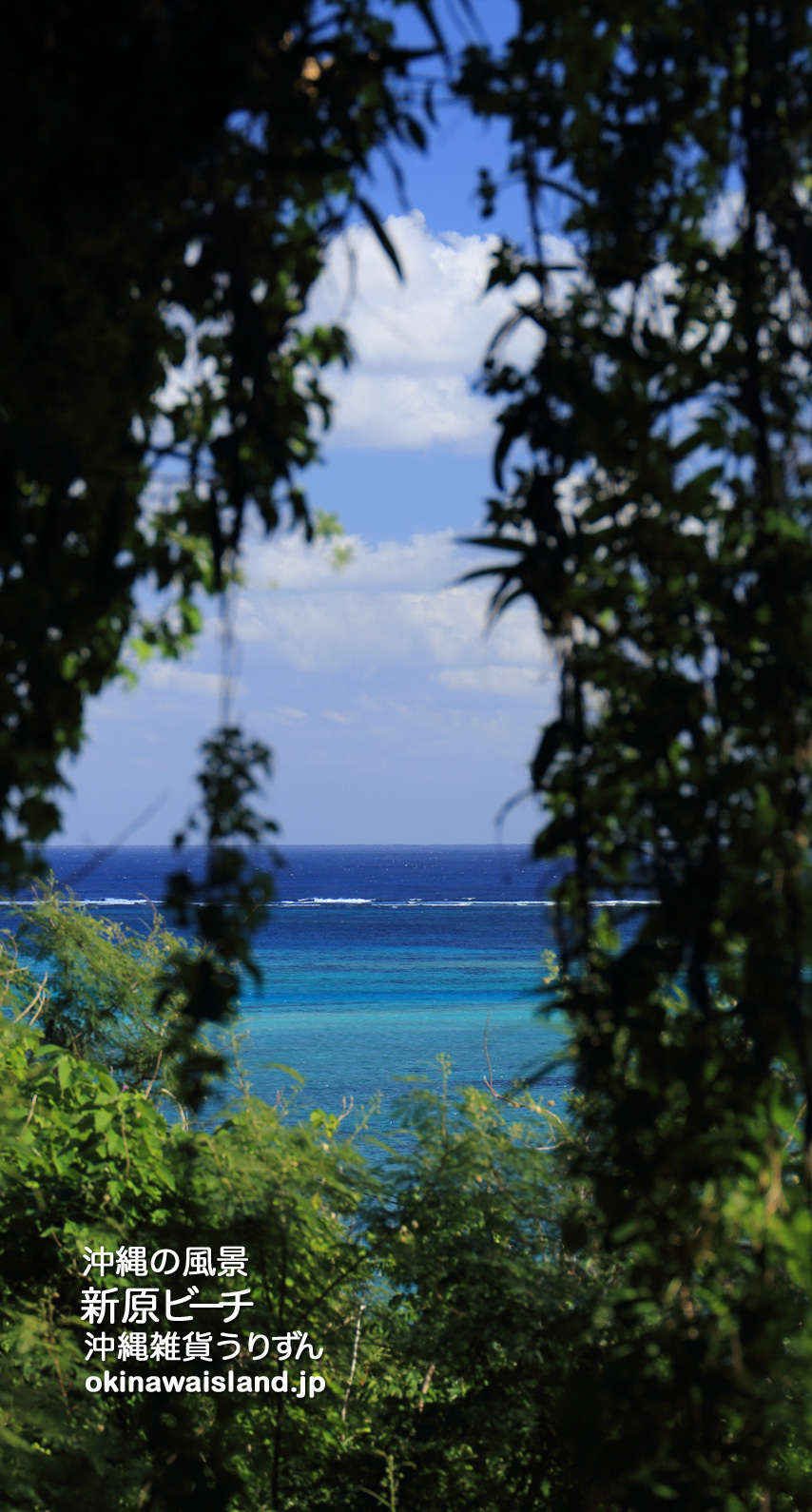 沖縄の風景 壁紙 デスクトップカレンダー 無料ダウンロード 新原ビーチ