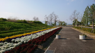 滋賀琵琶湖烏丸半島水生植物園